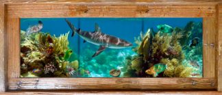 "Shallow Patch Reef" Tile Mural