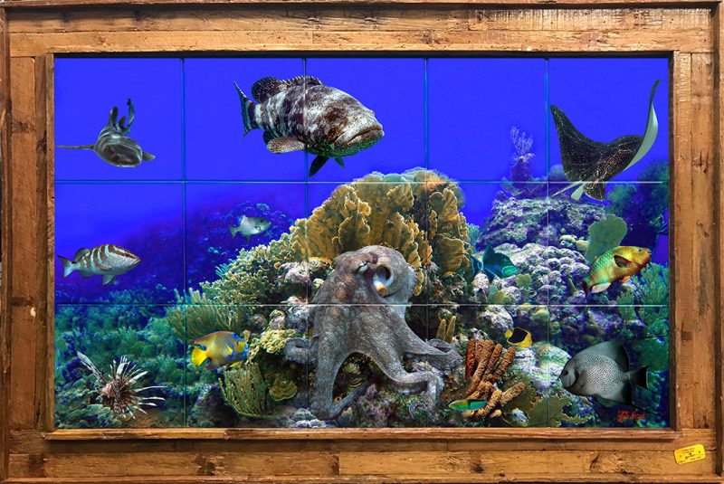 "St. Lucia Reef" Tile Mural