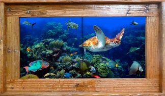 "The Aquarium" Tile Mural