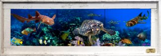 "Three Shark Reef" Tile Mural