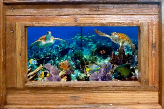 "Turtle Encounter" Tile Mural