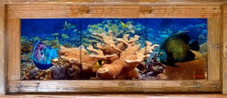 "West End Reef" Tile Mural