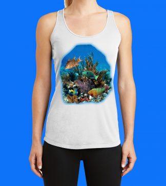 Fish on the Reef Tank Top