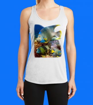 Angelfish on the Reef Tank Top