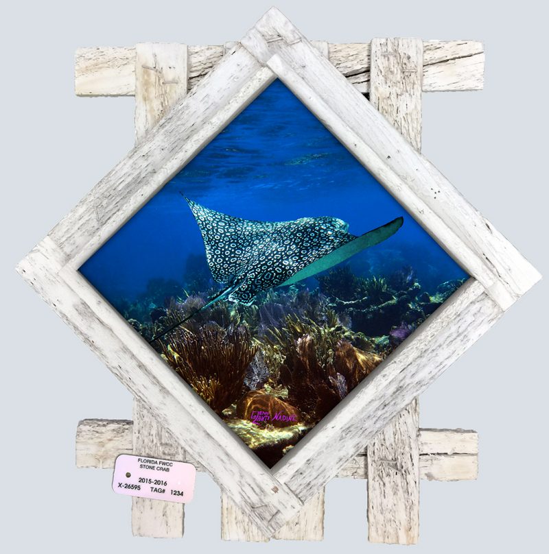 "Eagle Ray With Seafans"
