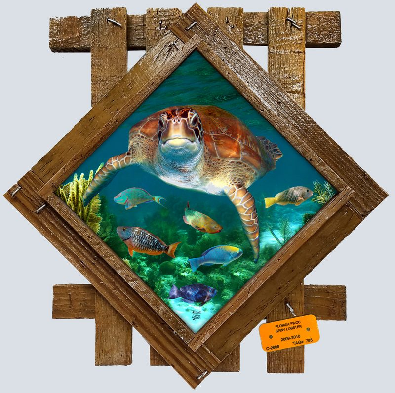 "Grecian Rocks Turtle"