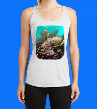 Octopus on the Reef Tank Top