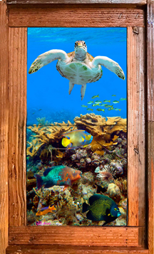 "Reef Top Flyer" Tile Mural