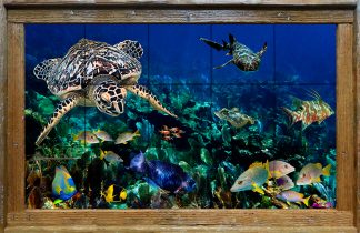 "School Master Reef" Tile Mural