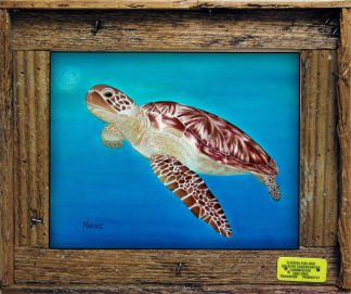 Framed Prints $59