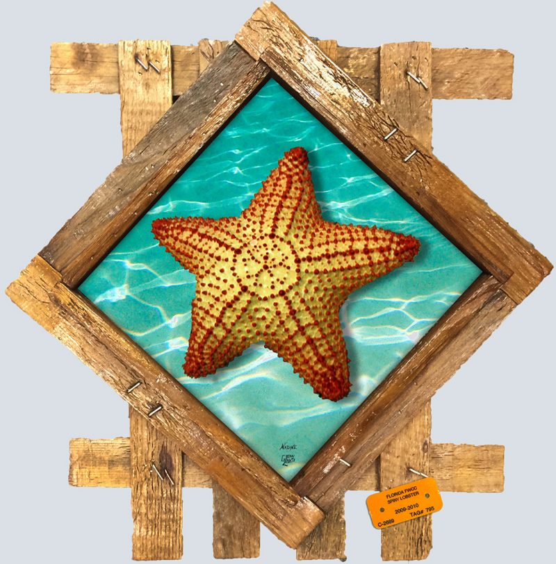 "Starfish in the Sand"