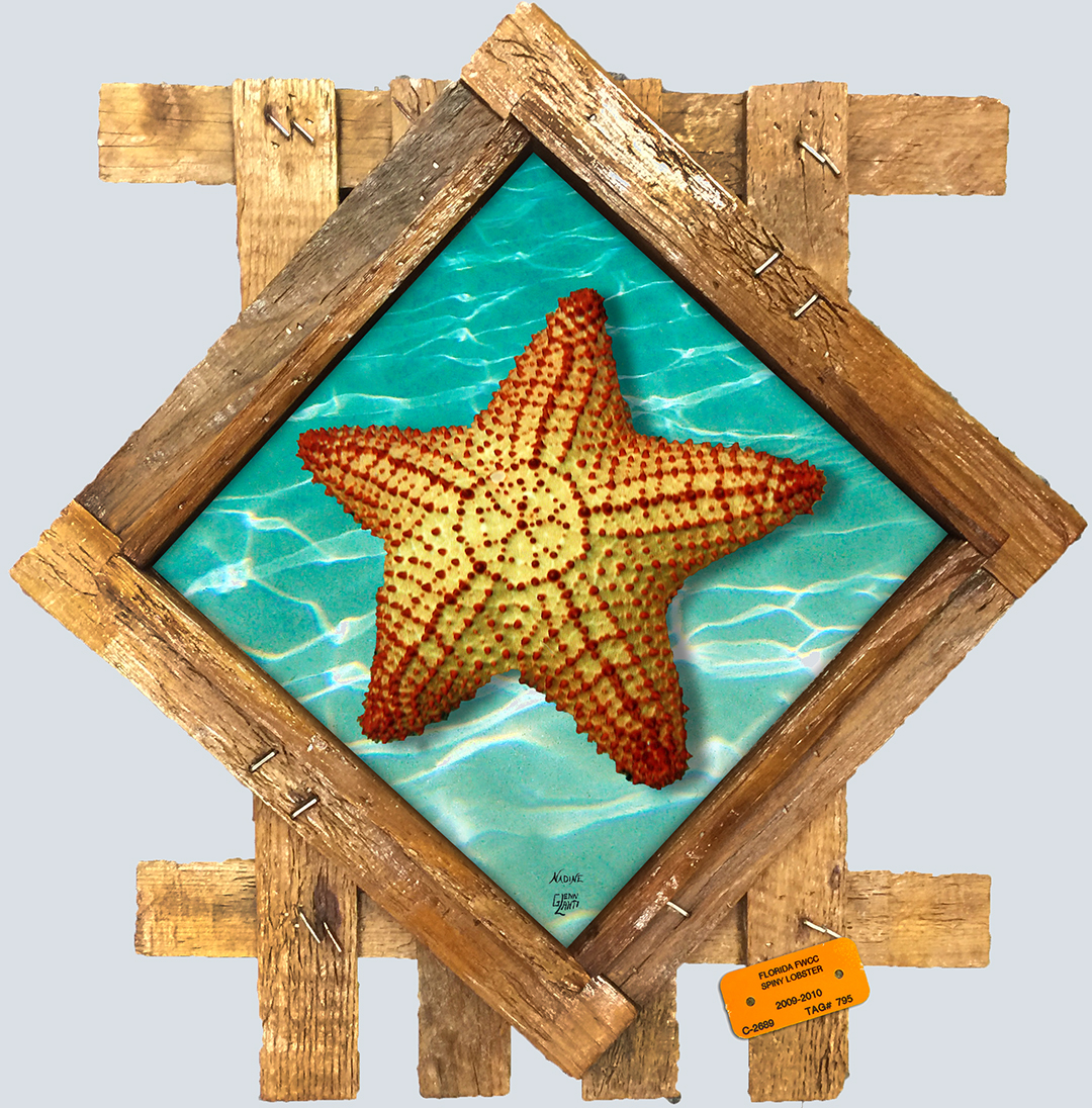 "Starfish in the Sand"