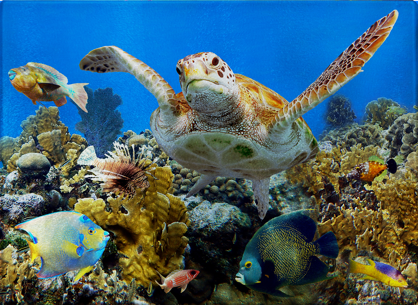 Top of the Reef Cutting Board