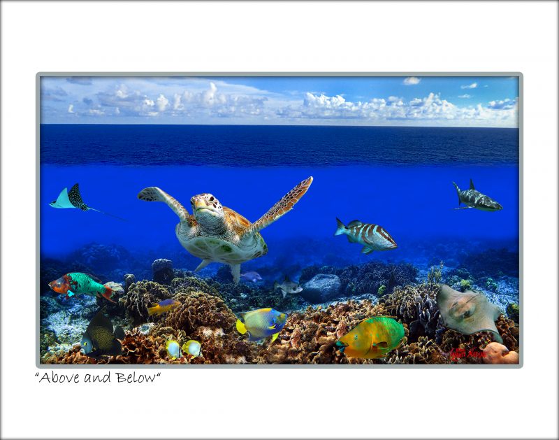 "Above and Below"