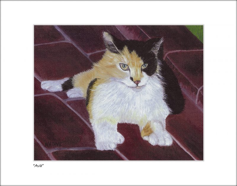 "Famous Hemingway Cat Ava Gardner"