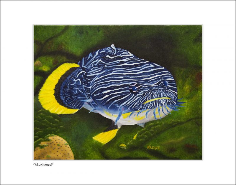 "Bluebeard"