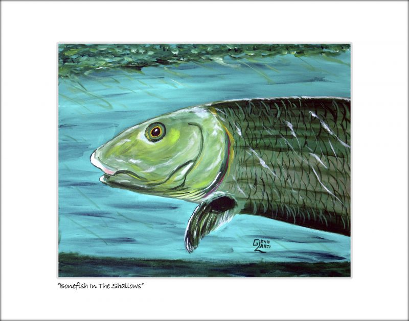 "Bonefish in the Shallows"