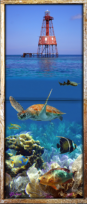 "Carysfort Reef Lighthouse with Reef Below"