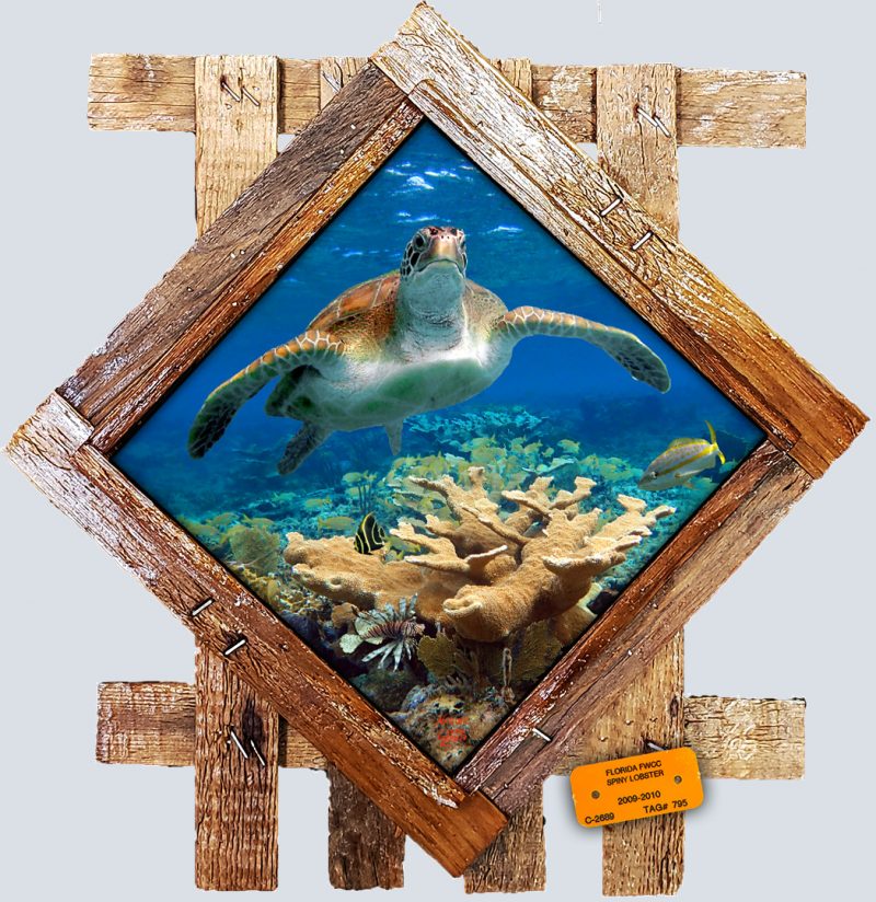 "Coral Garden"