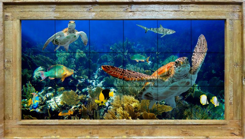 "DEEP DIVING WITH FRIENDS"