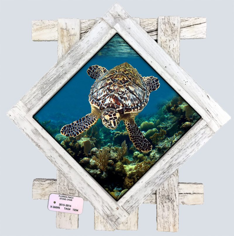 "Deep Diving"