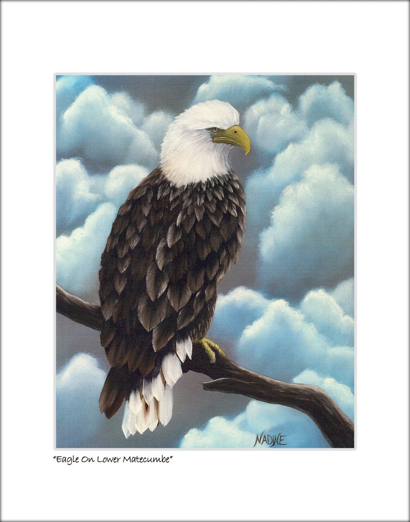 "Eagle on Lower Matecumbe"