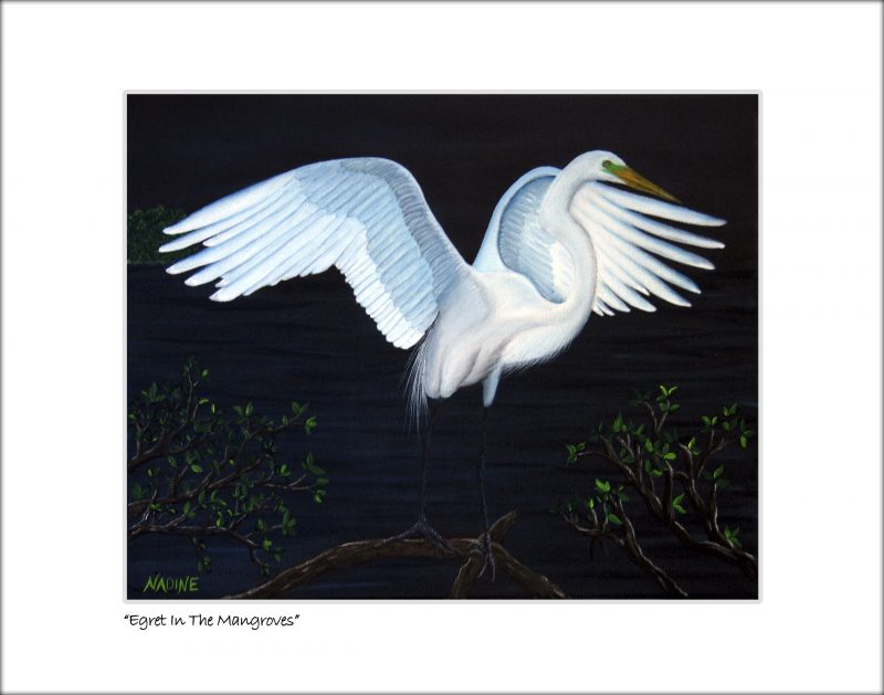 "Egret in the Mangroves"