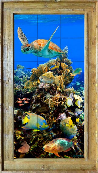 "FIRE CORAL CLUSTER REEF"