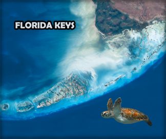 "Florida Keys Satellite View"
