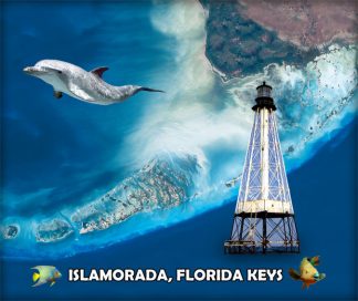 "Florida Keys Satellite View - Islamorada"
