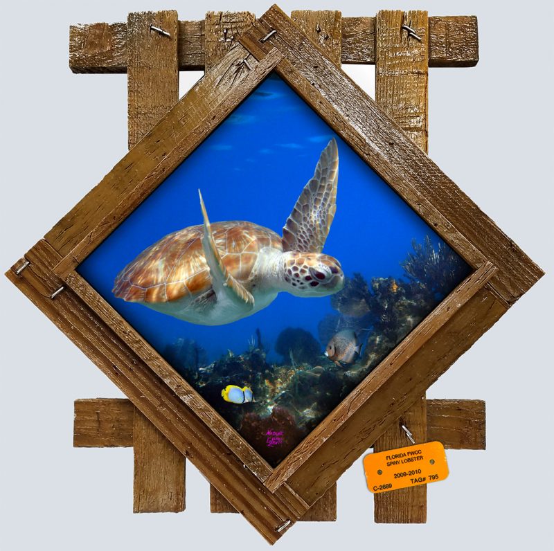 "Flying High"