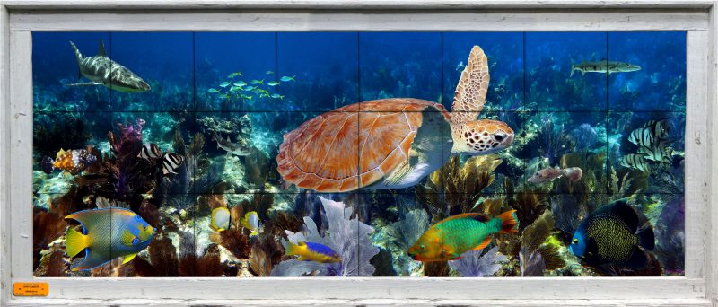 Framed tile mural with turtle, fish, reef, and sea fans
