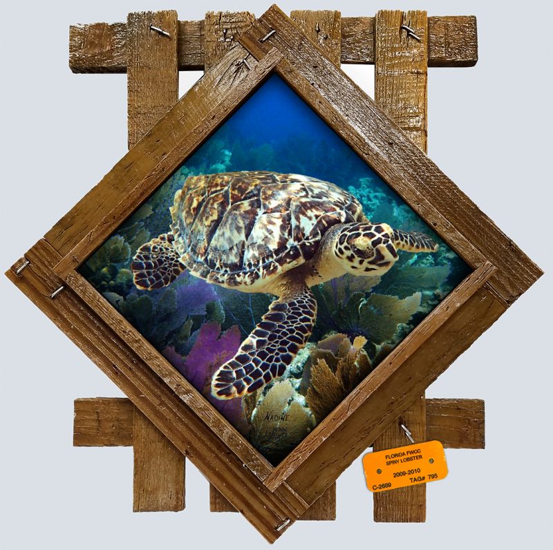 "Hawksbill Turtle Over the Seafans"