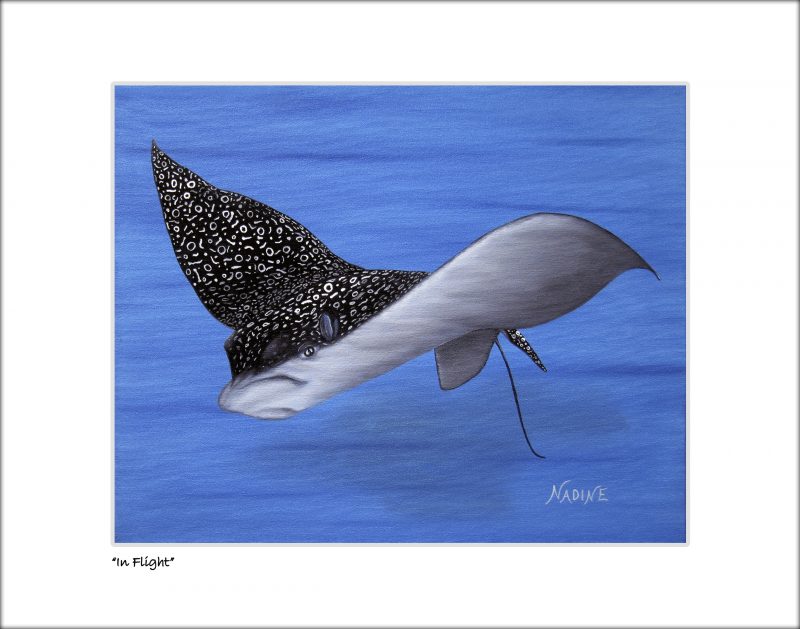 "In Flight"