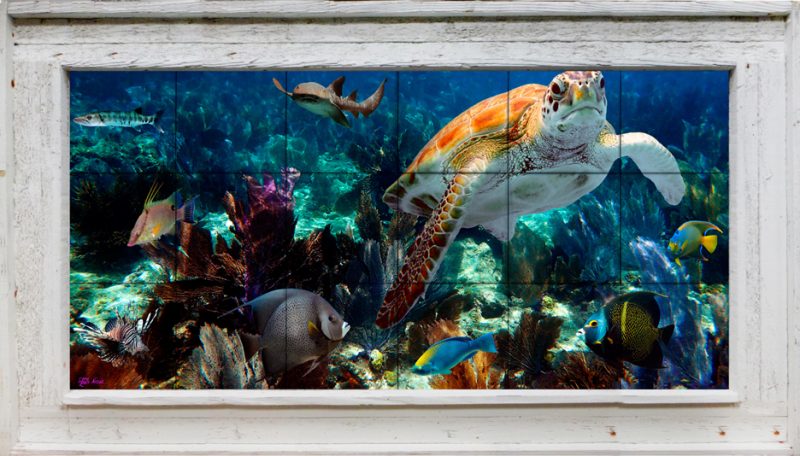 "LIFE ON THE REEF"