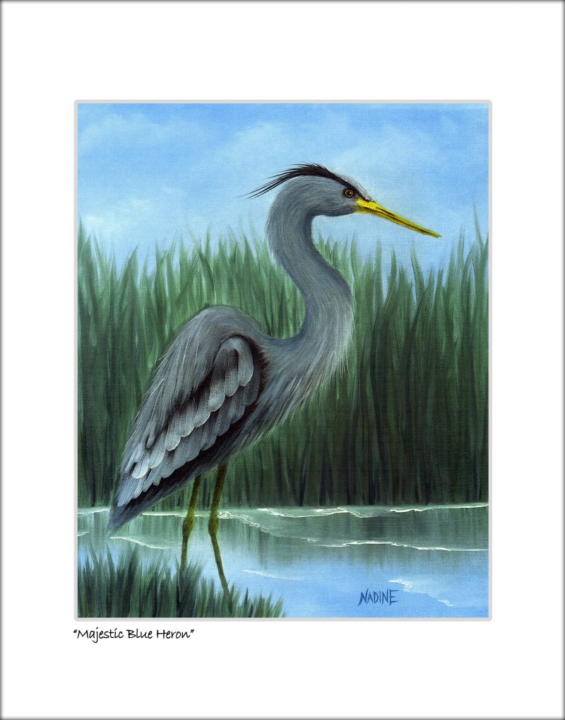 "Majestic Blue Heron"