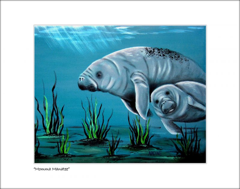 "Momma Manatee"