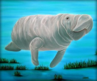"Mr. Manatee"