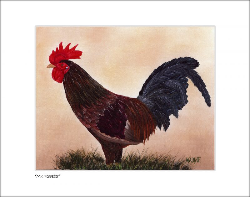 "Mr. Rooster"