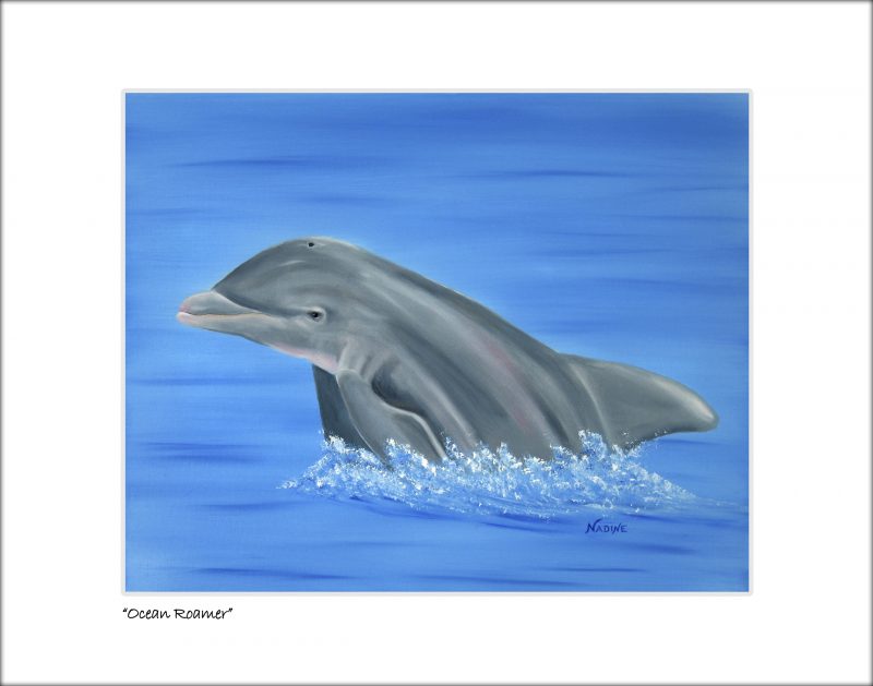 "Ocean Roamer"