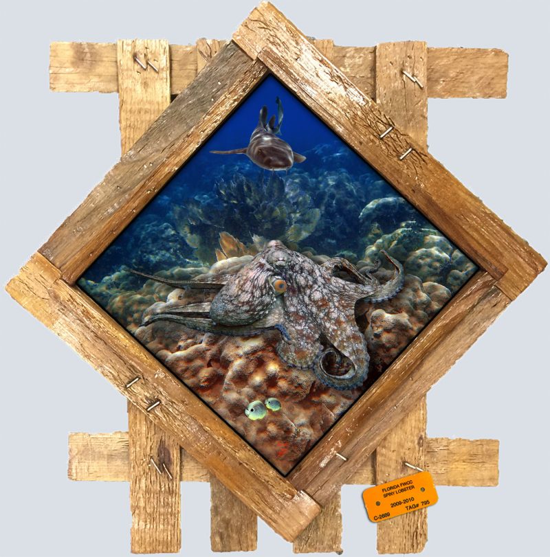 "Octopus and Nurse Shark"