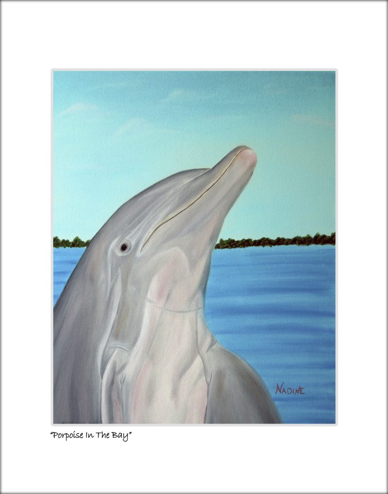 "Porpoise in the Bay"