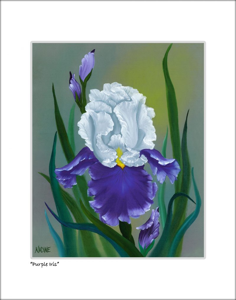 "Purple Iris"