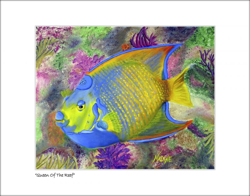 "Queen of the Reef"