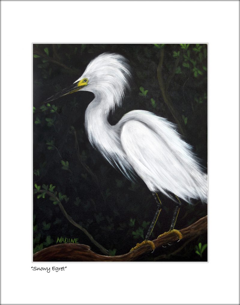 "Snowy Egret"