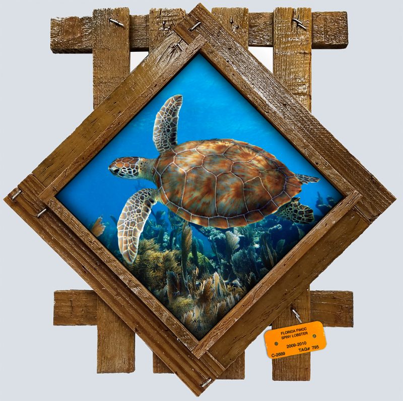 "Soaring Turtle"