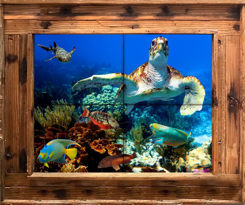 "Tortuga Reef"