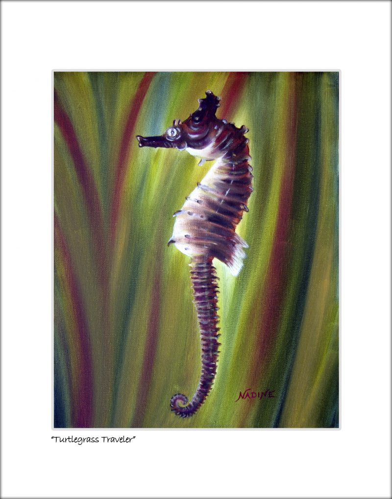"Turtle Grass Traveler"
