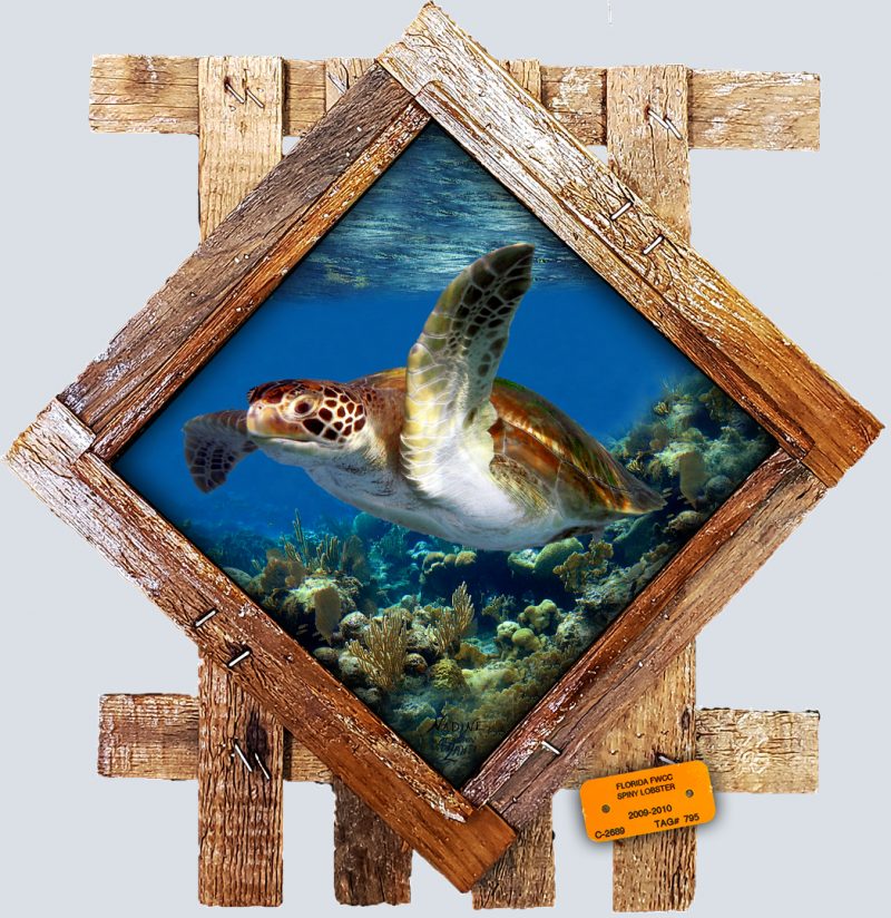 "Turtle Wave"
