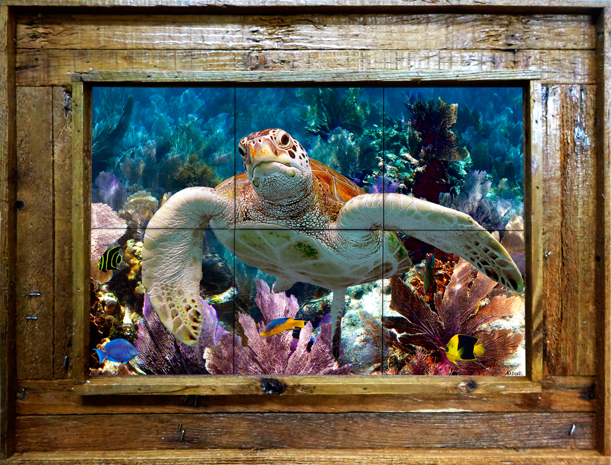 ceramic tile mural using 6 6x6 tiles featuring a turtle and seafans framed in a lobster trap wood frame